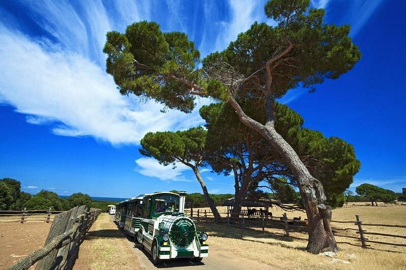 Brijuni National Park- קרדיט לאתר VIATOR