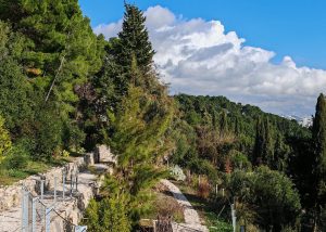 פארק יער מרג'אן (Forest Park Marjan) בעיר ספליט בקרואטיה- קרדיט לאתר VIATOR