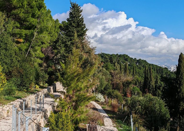 פארק יער מרג'אן (Forest Park Marjan) בעיר ספליט בקרואטיה- קרדיט לאתר VIATOR