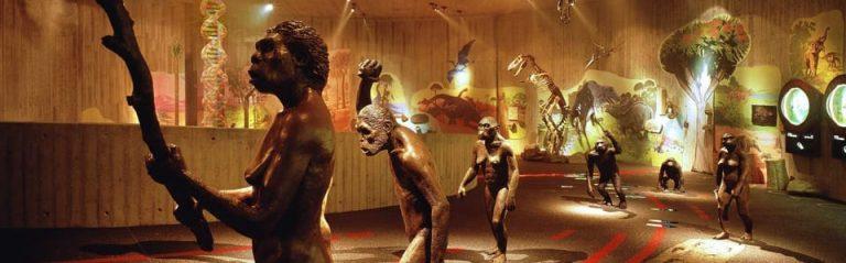 Krapina Neanderthal Museum- קרדיט לאתר GETYOURGUIDE