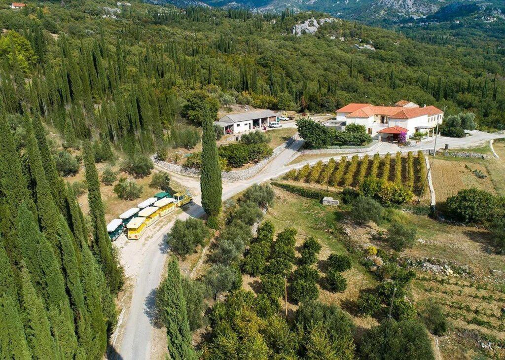עמק קונאבל (Konavle Valley) – טבע, מסורת וטעמים של דרום קרואטיה- VIATOR
