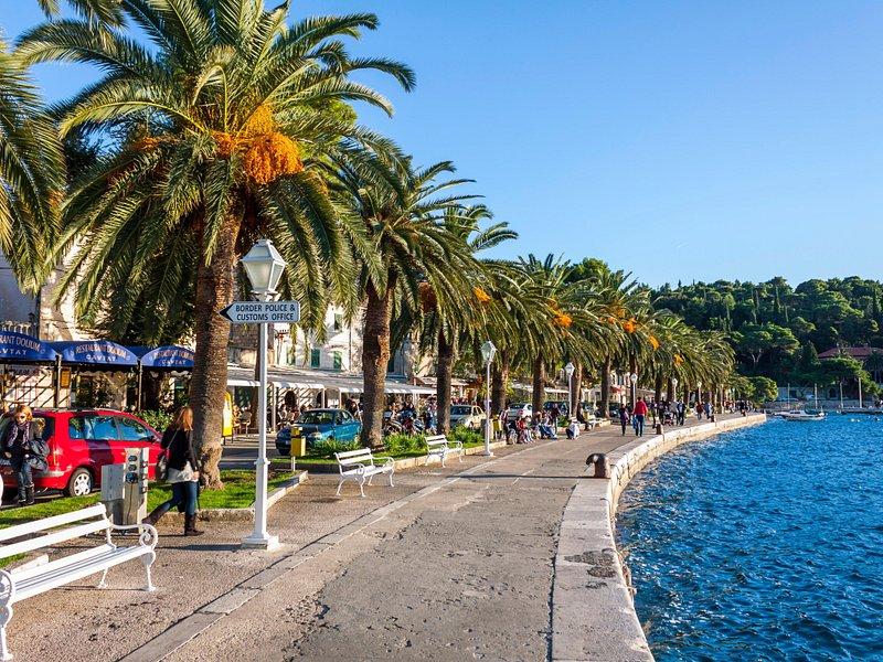 Cavtat- VIATOR