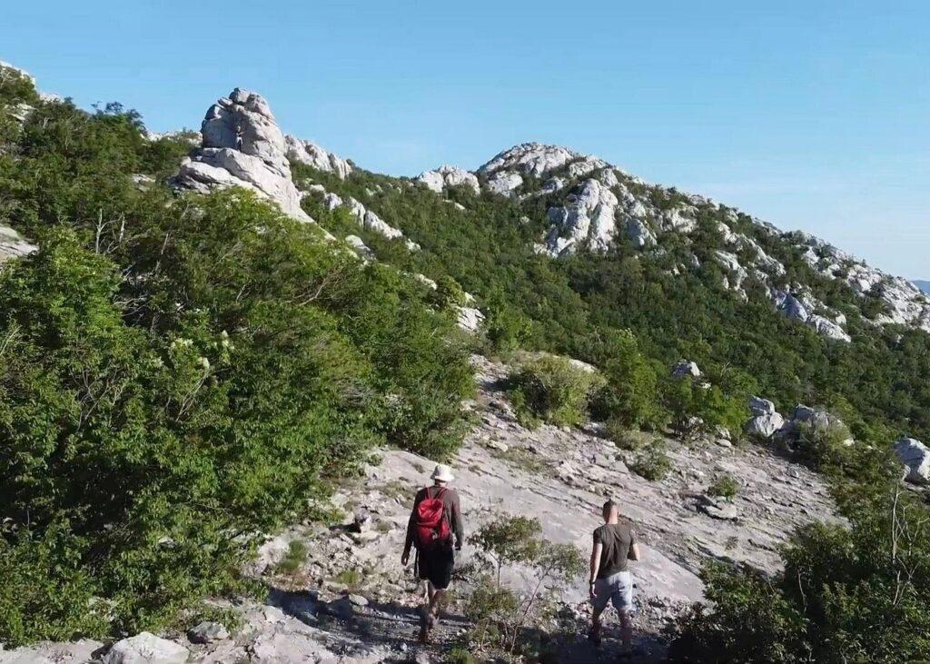 Cerovac - VIATOR