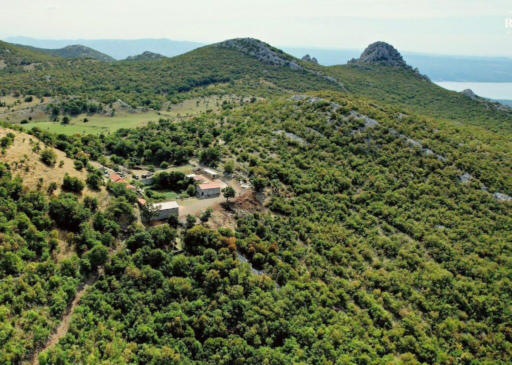 VELEBIT- VIATOR