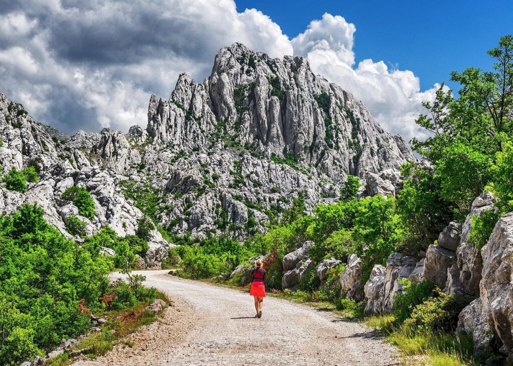 VELEBIT- VIATOR
