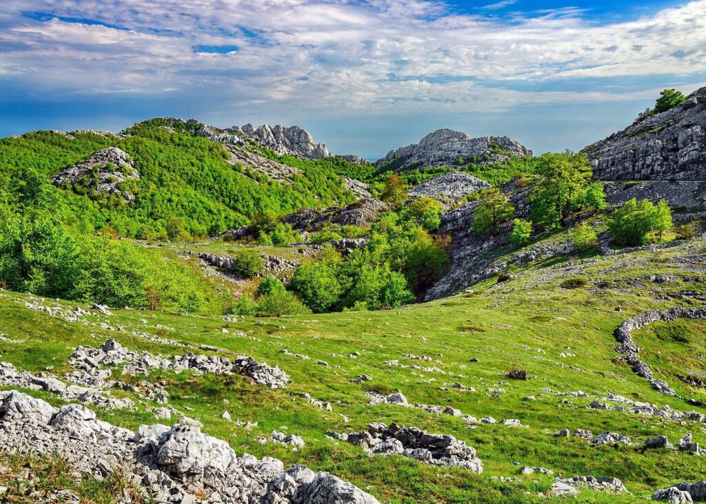 VELEBIT- VIATOR