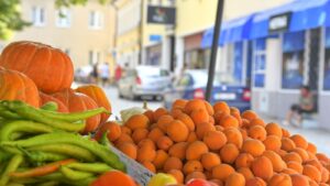 מבט מלמעלה על כיכר בן ילאצ'יץ במרכז זאגרב, שממנה עולים במדרגות אל שוק דולאץ